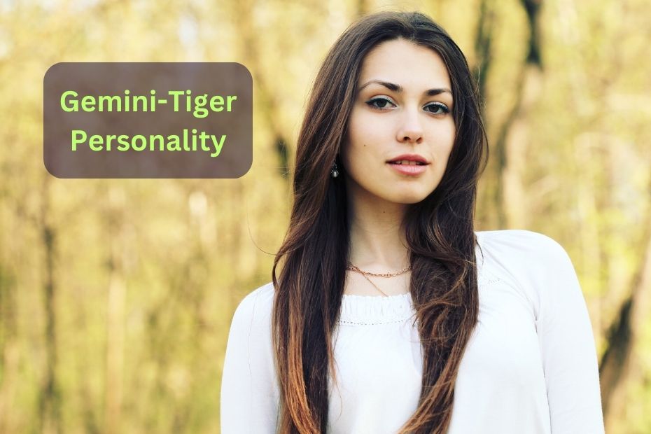 Gemini-Tiger Personality